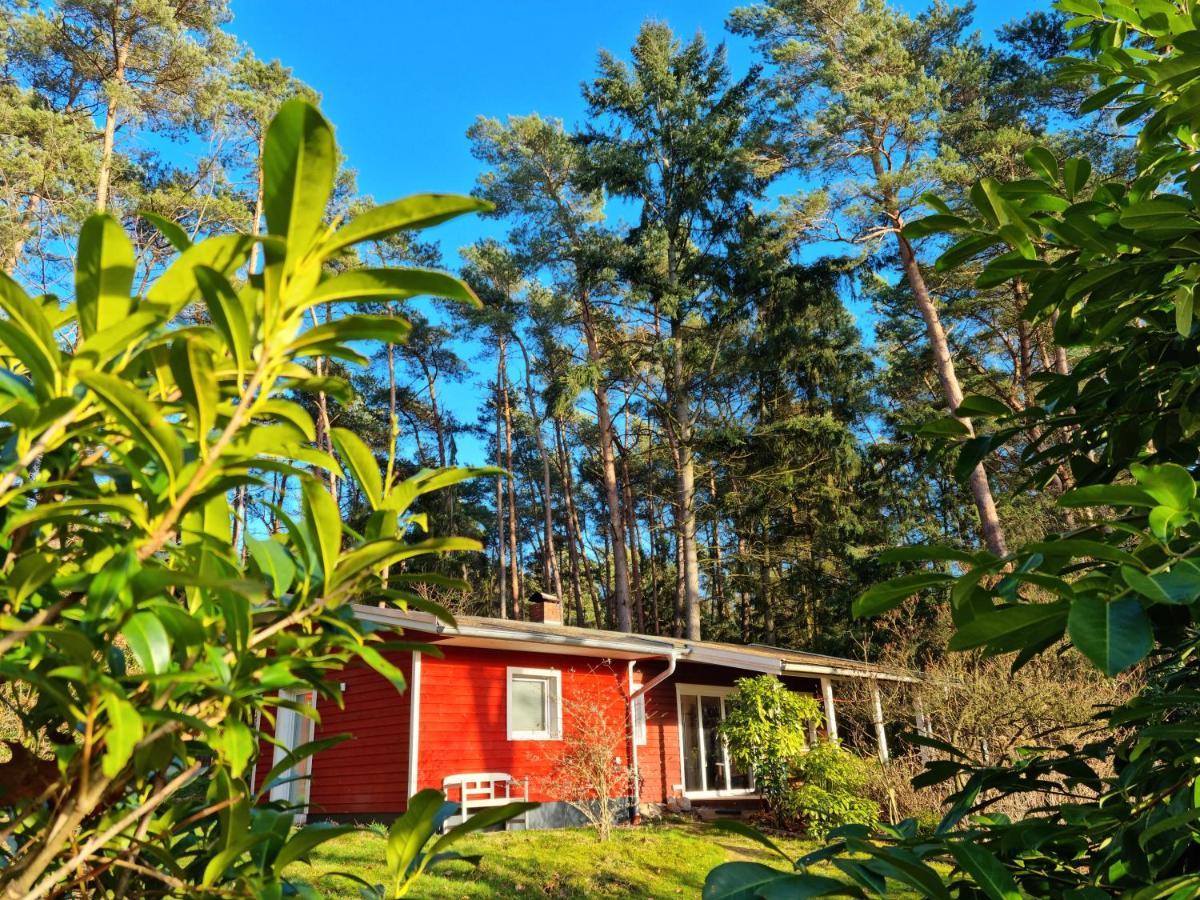 Waldhaus Doetlingen Ferienhaus Im Naturpark Luaran gambar