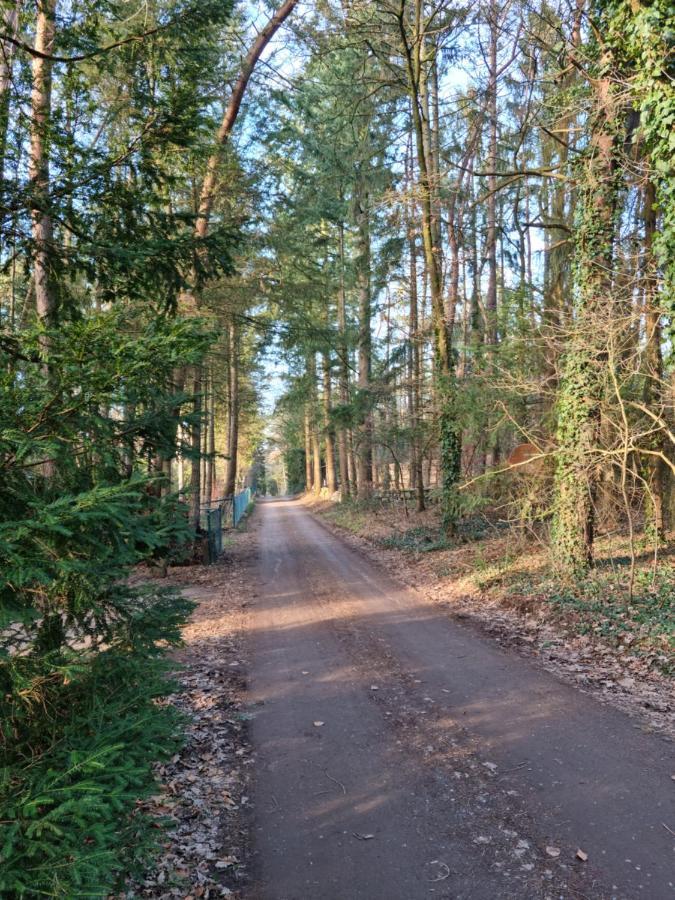 Waldhaus Doetlingen Ferienhaus Im Naturpark Luaran gambar