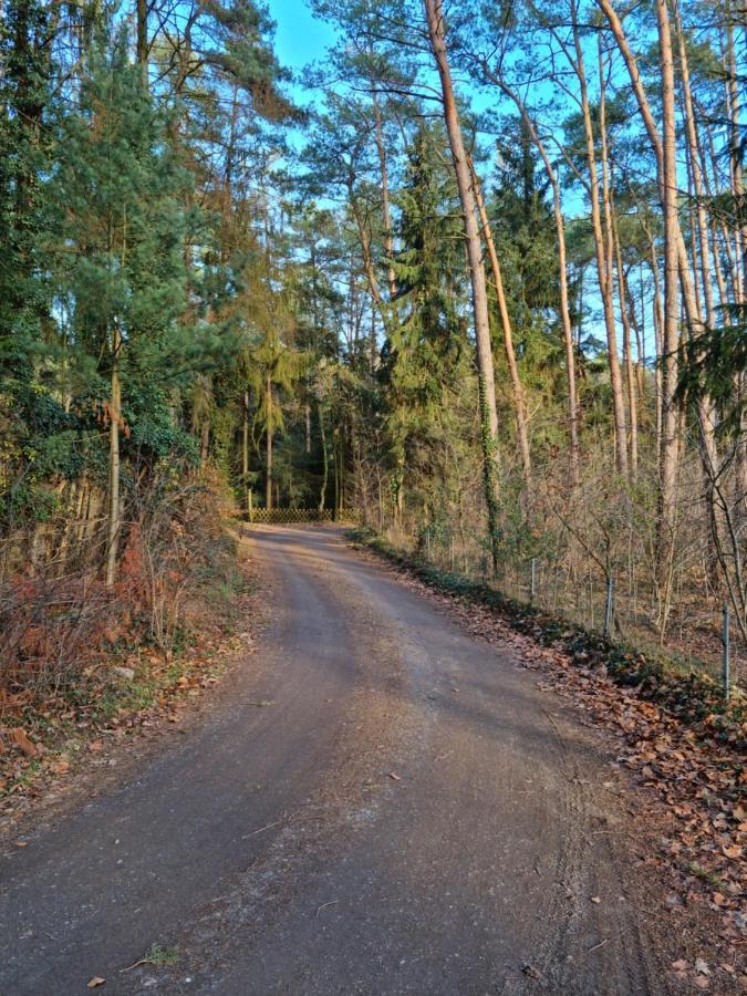 Waldhaus Doetlingen Ferienhaus Im Naturpark Luaran gambar